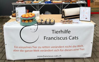 Grosser Kuchenverkauf für Otto