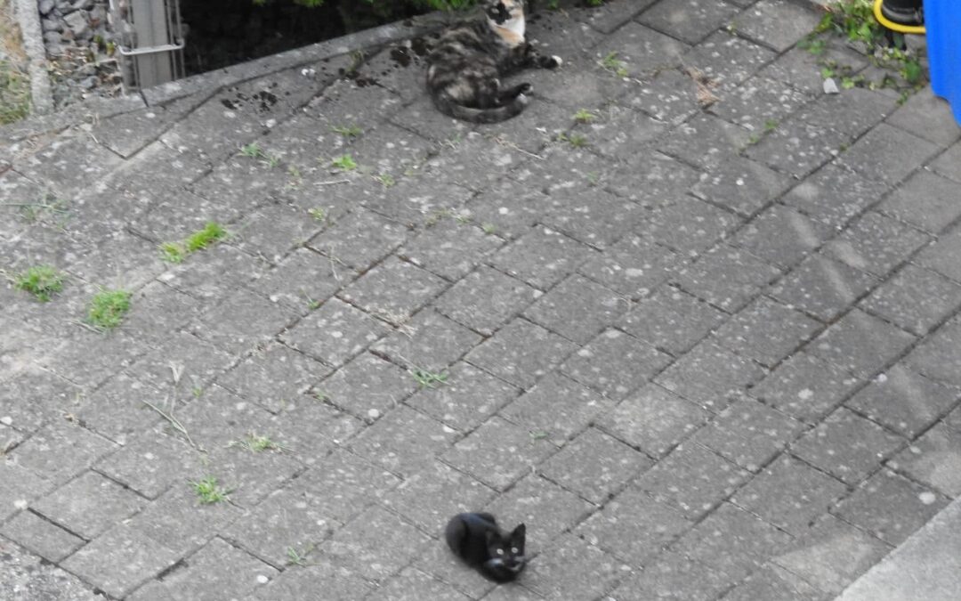 Kein Ende in Sicht