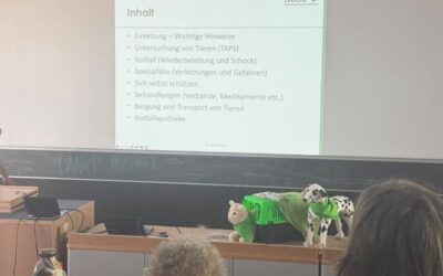 Heute wird gelernt, denn auch wir bilden uns weiter